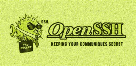 OpenSSH faces two new security holes, potentially high risk causing information security