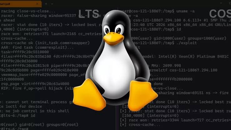 Lỗ hổng leo thang đặc quyền root trên Linux Kernel và Android với tỷ lệ khai thác thành công 99%